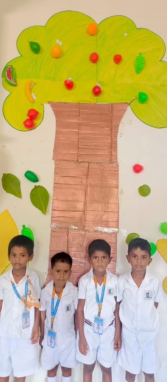 FRUITS ACTIVITY